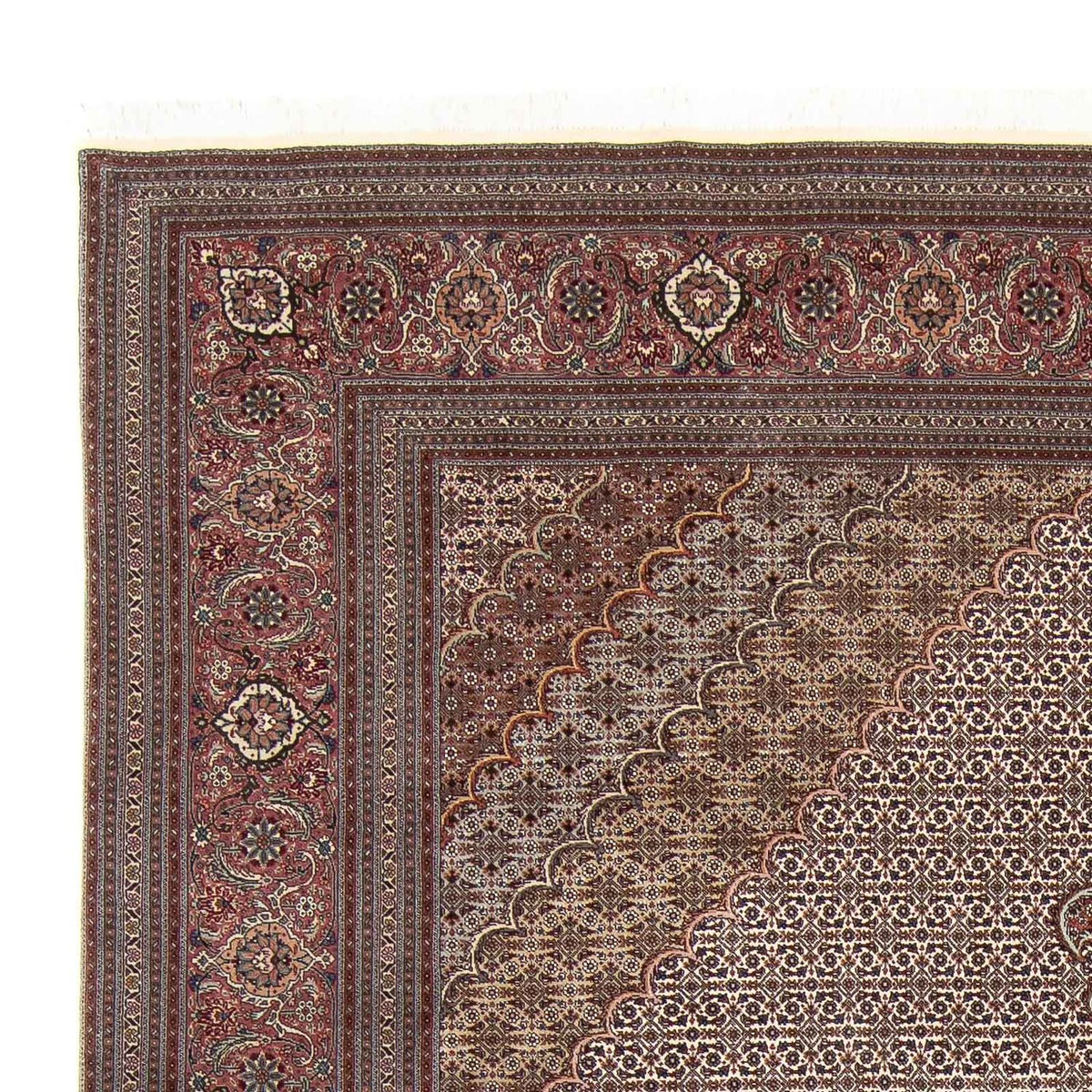 Tappeto Persero - Tabriz - Reale - 348 x 253 cm - marrone chiaro