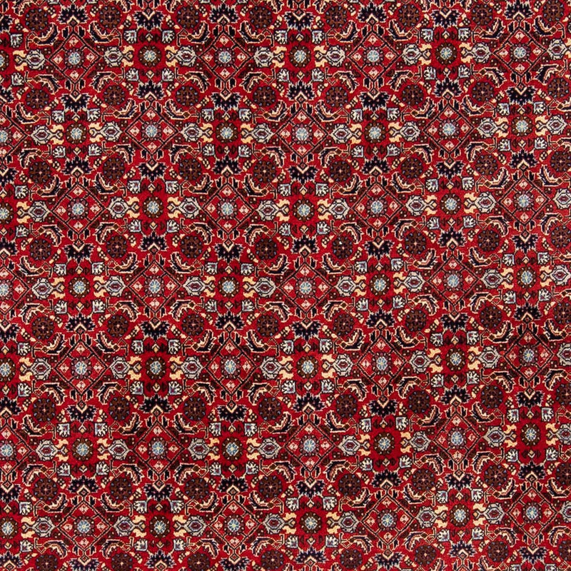 Tappeto Persero - Bidjar - 251 x 175 cm - rosso
