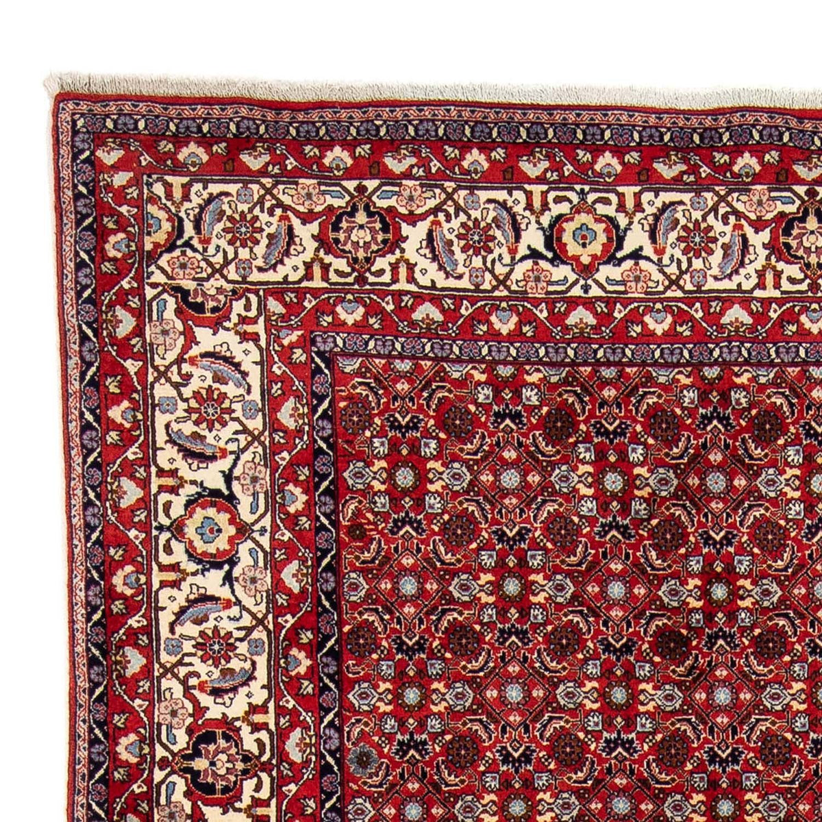 Tappeto Persero - Bidjar - 251 x 175 cm - rosso