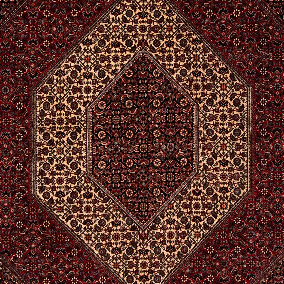 Tappeto Persero - Bidjar - 255 x 202 cm - rosso scuro