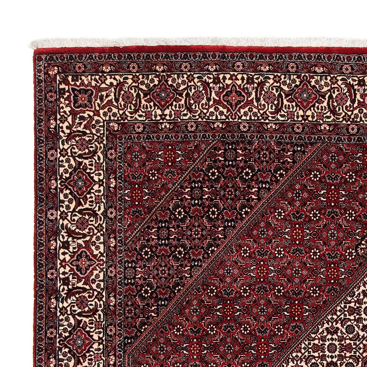 Tappeto Persero - Bidjar - 252 x 203 cm - rosso scuro