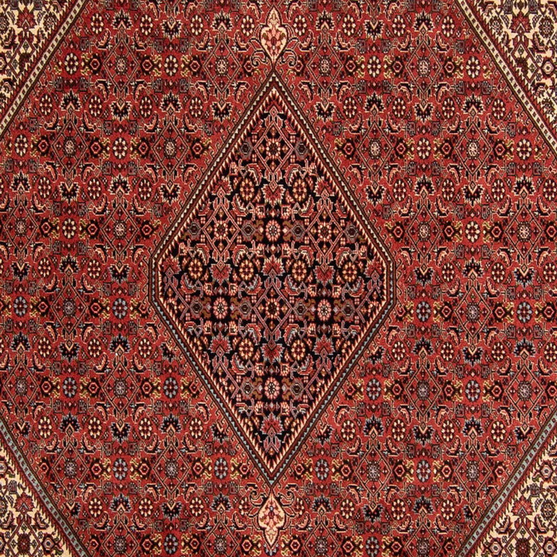 Tappeto Persero - Bidjar - 343 x 250 cm - rosso scuro