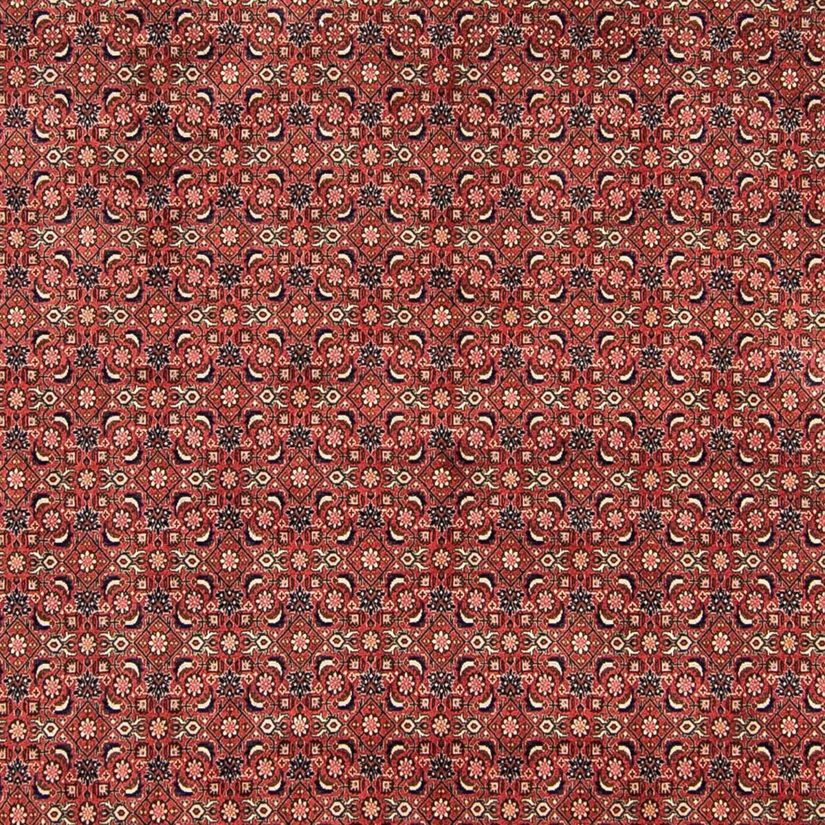 Tappeto Persero - Bidjar - 316 x 252 cm - rosso