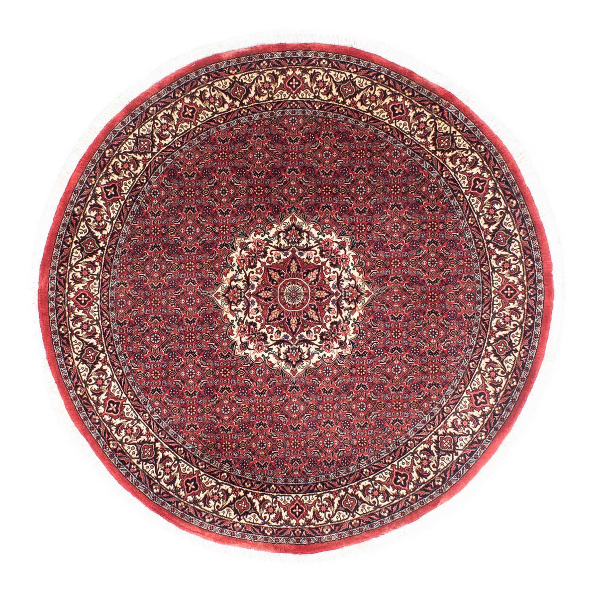 Tappeto Persero - Bidjar rotondo  - 155 x 155 cm - rosso scuro