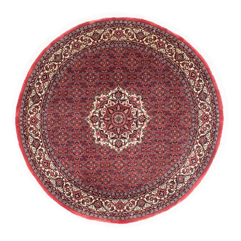 Tappeto Persero - Bidjar rotondo  - 155 x 155 cm - rosso scuro