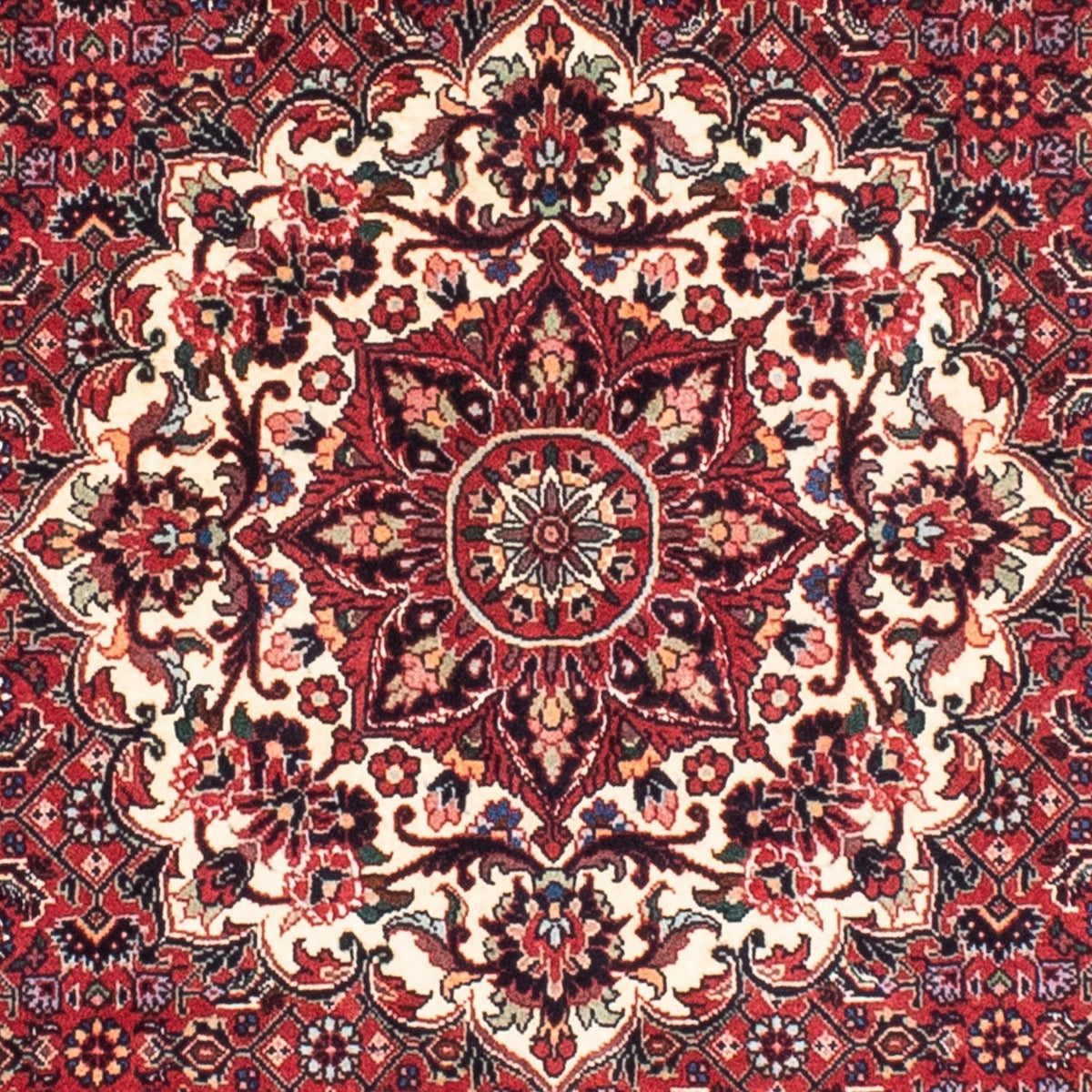 Tappeto Persero - Bidjar rotondo  - 155 x 155 cm - rosso scuro