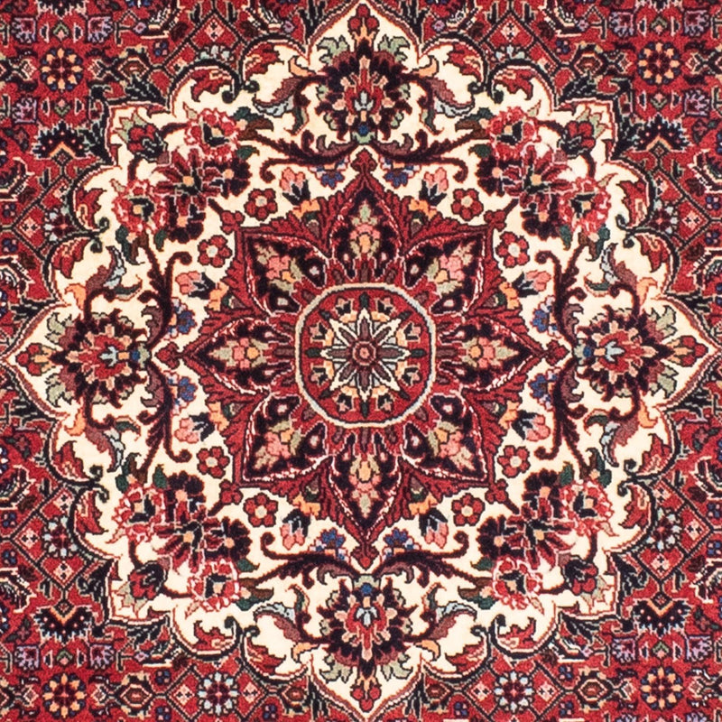 Tappeto Persero - Bidjar rotondo  - 155 x 155 cm - rosso scuro