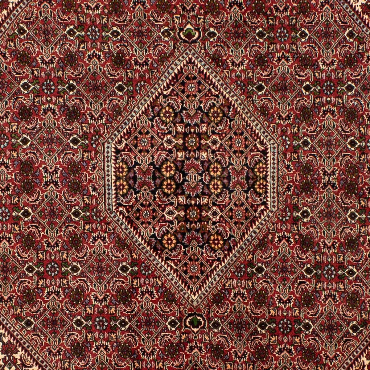 Tappeto Persero - Bidjar - 251 x 173 cm - rosso scuro