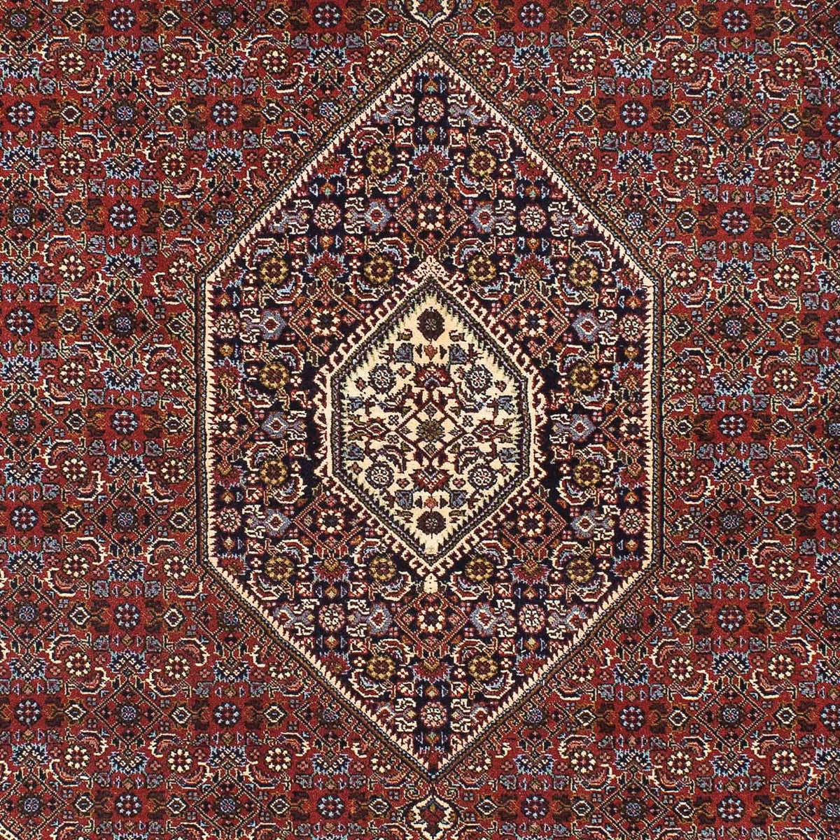 Tappeto Persero - Bidjar - 205 x 139 cm - rosso scuro