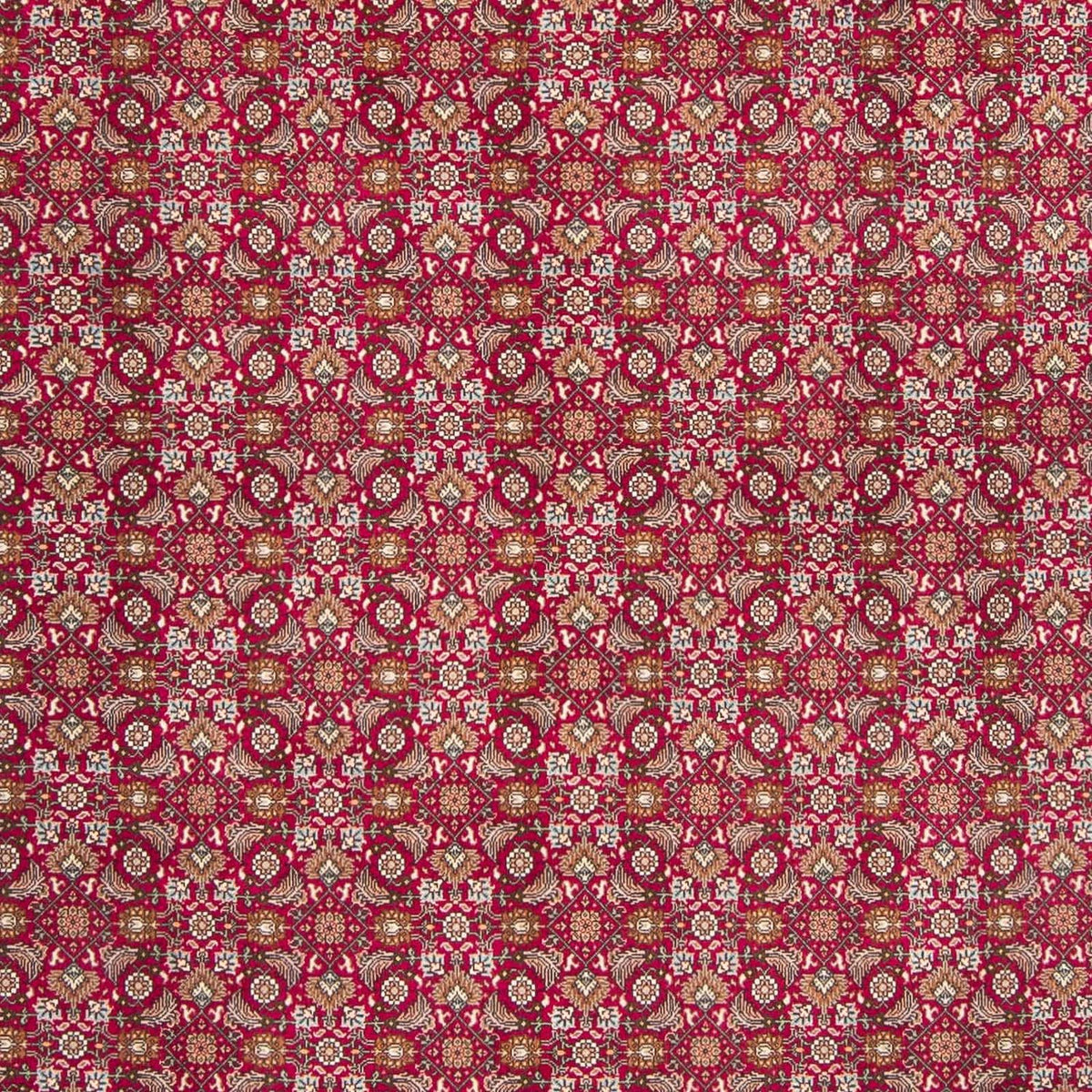 Tappeto Persero - Tabriz - Reale - 312 x 197 cm - rosso