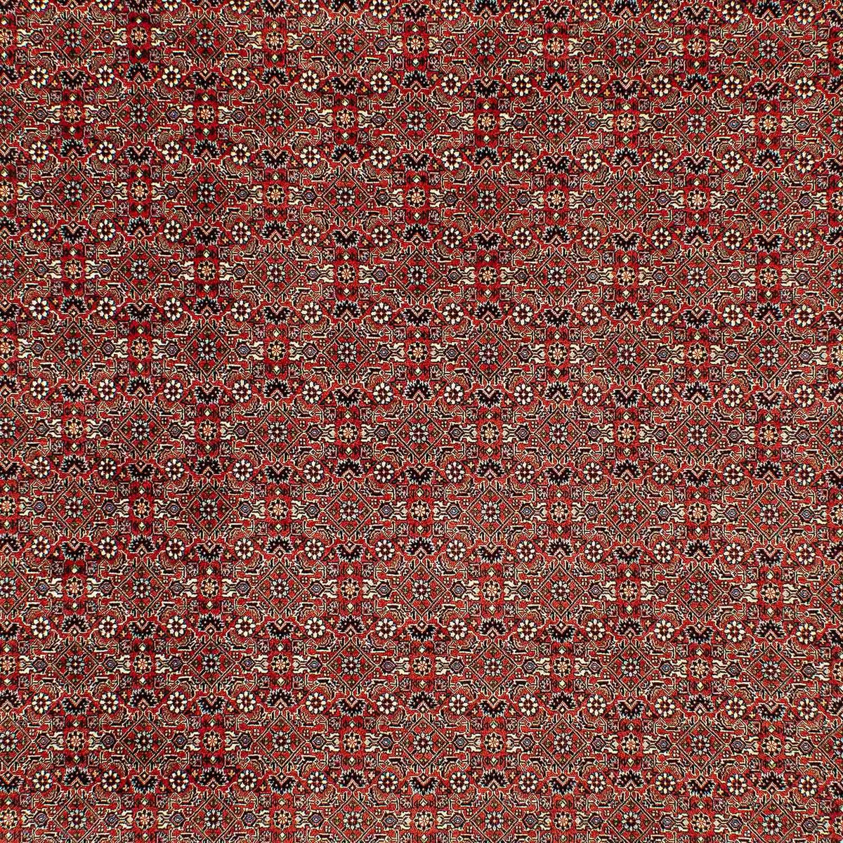 Tappeto Persero - Bidjar - 300 x 206 cm - rosso chiaro