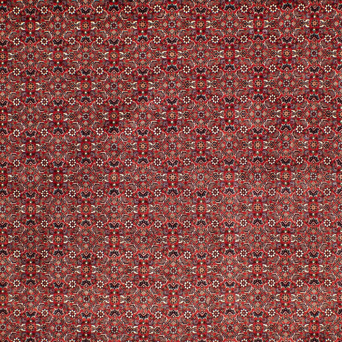 Tappeto Persero - Bidjar - 302 x 210 cm - rosso scuro