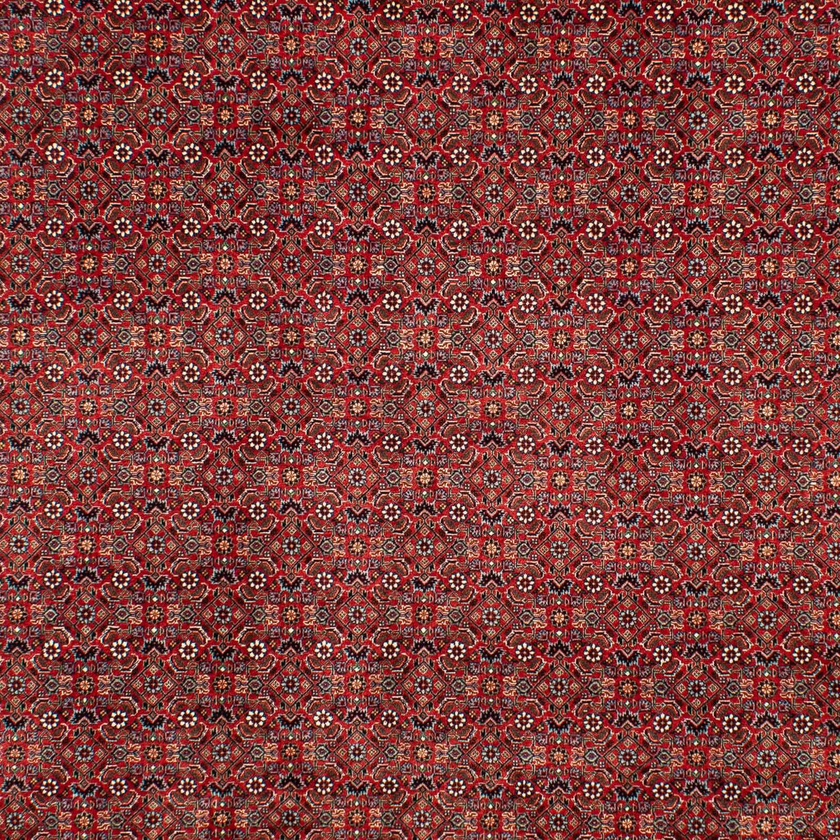 Tappeto Persero - Bidjar - 298 x 205 cm - rosso scuro