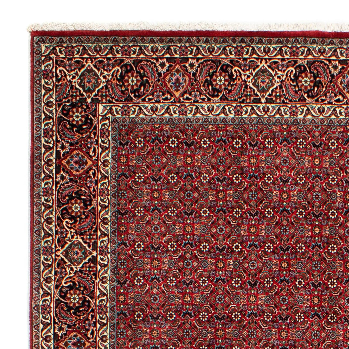 Tappeto Persero - Bidjar - 298 x 205 cm - rosso scuro