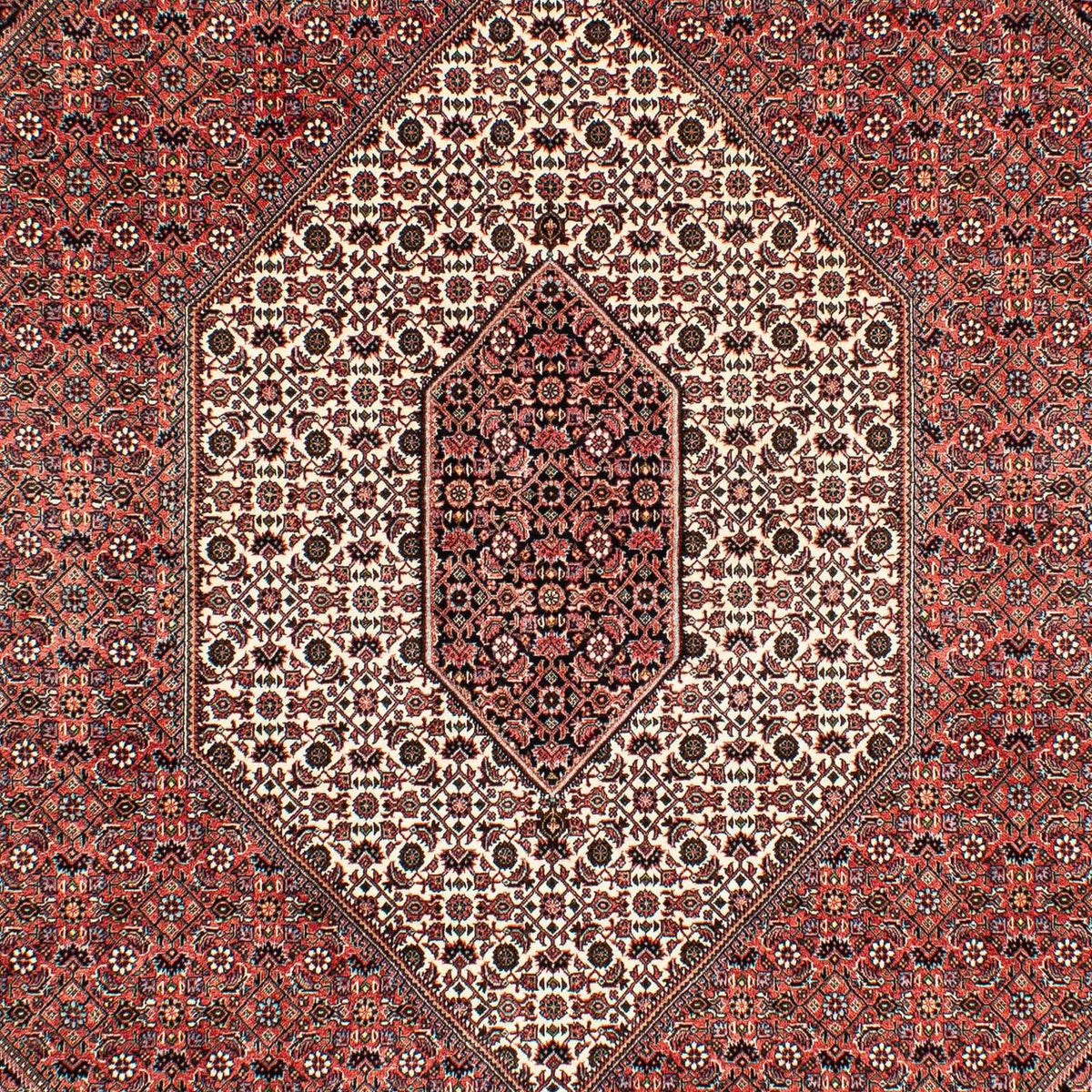 Tappeto Persero - Bidjar - 293 x 203 cm - rosso chiaro
