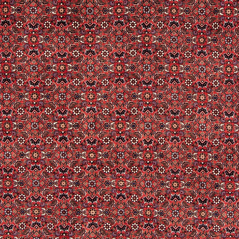 Tappeto Persero - Bidjar - 243 x 173 cm - rosso scuro