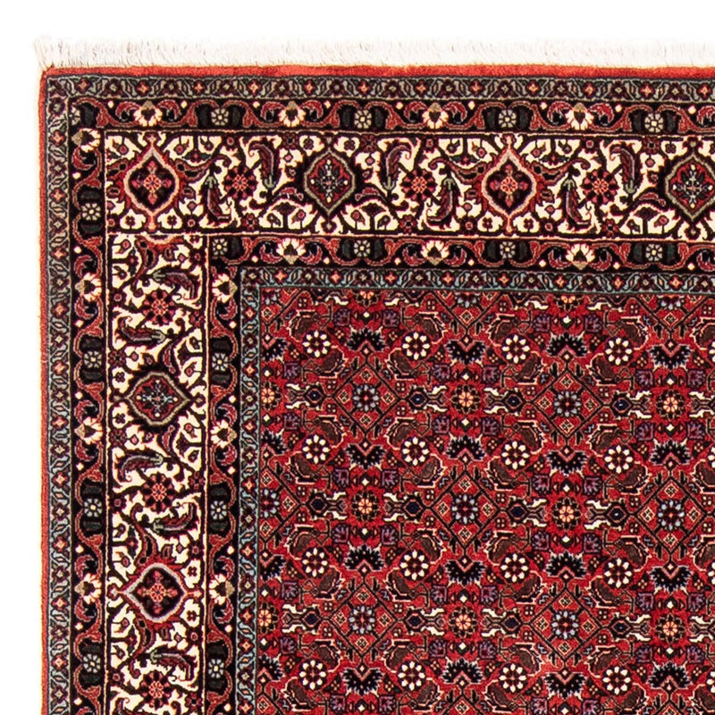 Tappeto Persero - Bidjar - 243 x 173 cm - rosso scuro