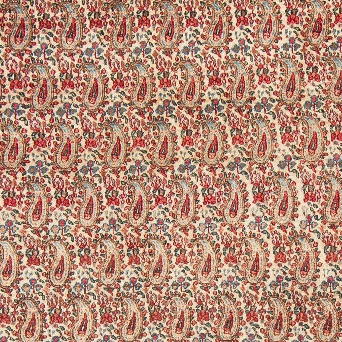 Tappeto Persero - Reale - 307 x 205 cm - beige
