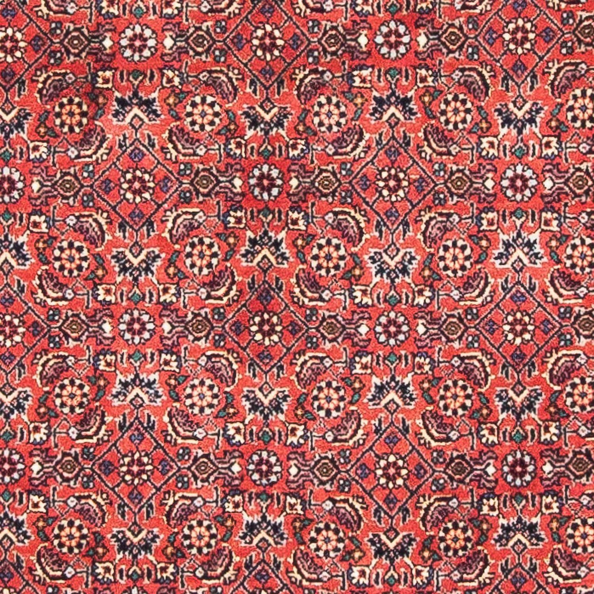 Tappeto Persero - Bidjar - 138 x 84 cm - rosso
