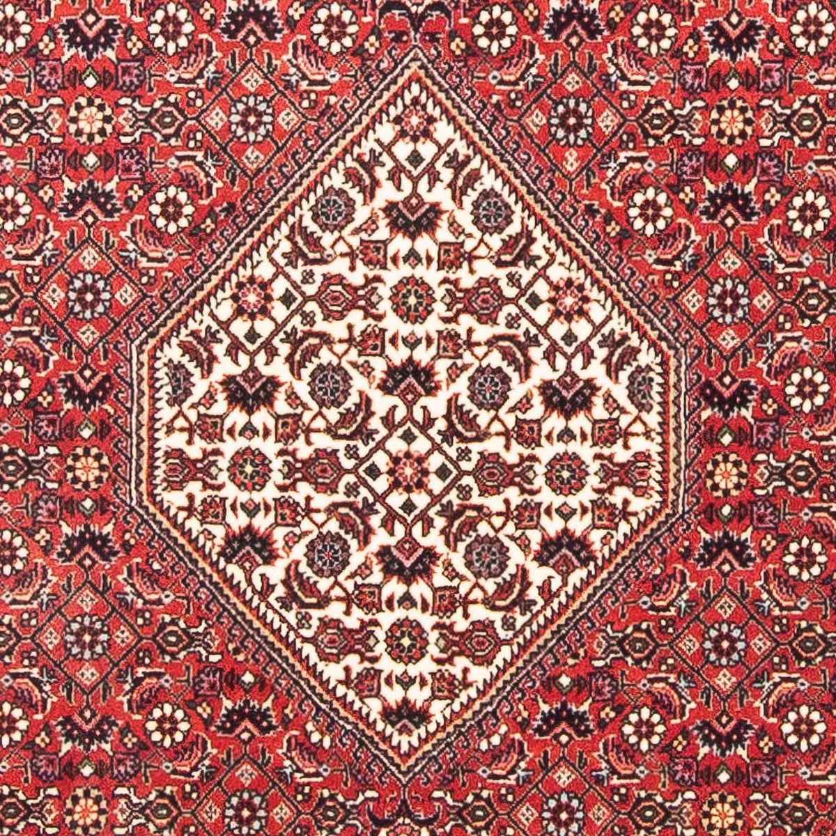 Tappeto Persero - Bidjar quadrato  - 112 x 100 cm - rosso