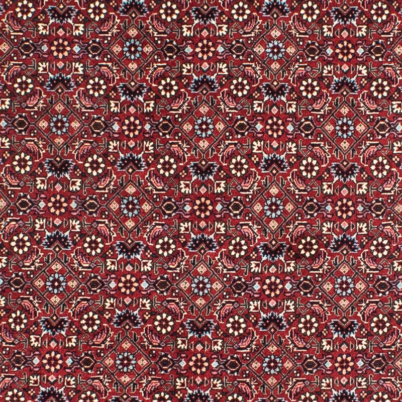 Tappeto Persero - Bidjar rotondo  - 155 x 155 cm - rosso scuro