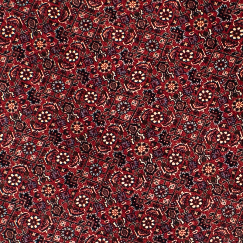 Tappeto Persero - Bidjar rotondo  - 155 x 155 cm - rosso scuro