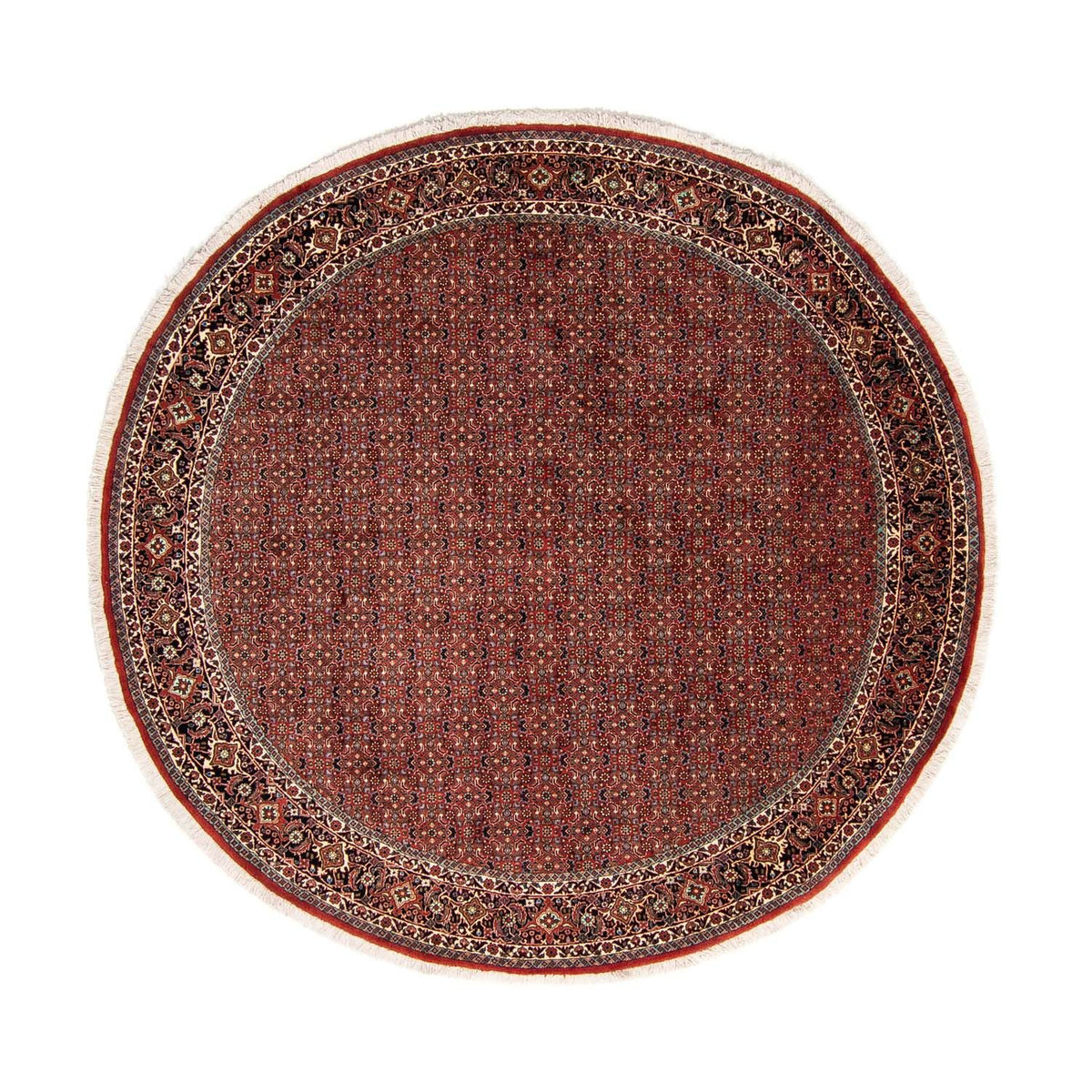 Tappeto Persero - Bidjar rotondo  - 250 x 250 cm - rosso scuro