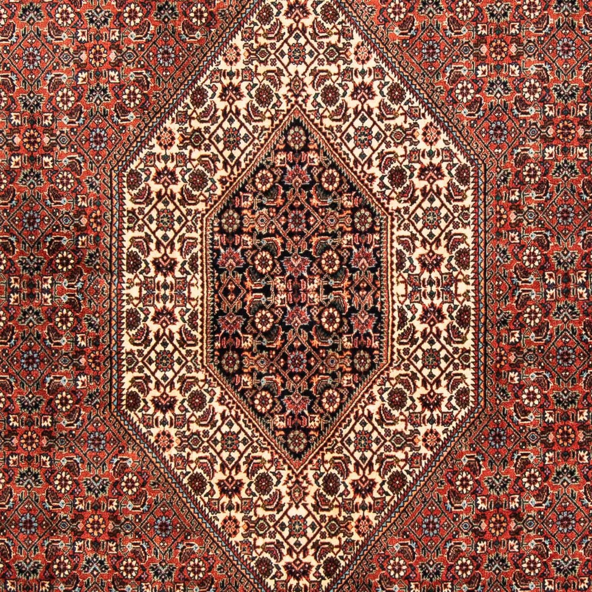 Tappeto Persero - Bidjar - 252 x 150 cm - rosso