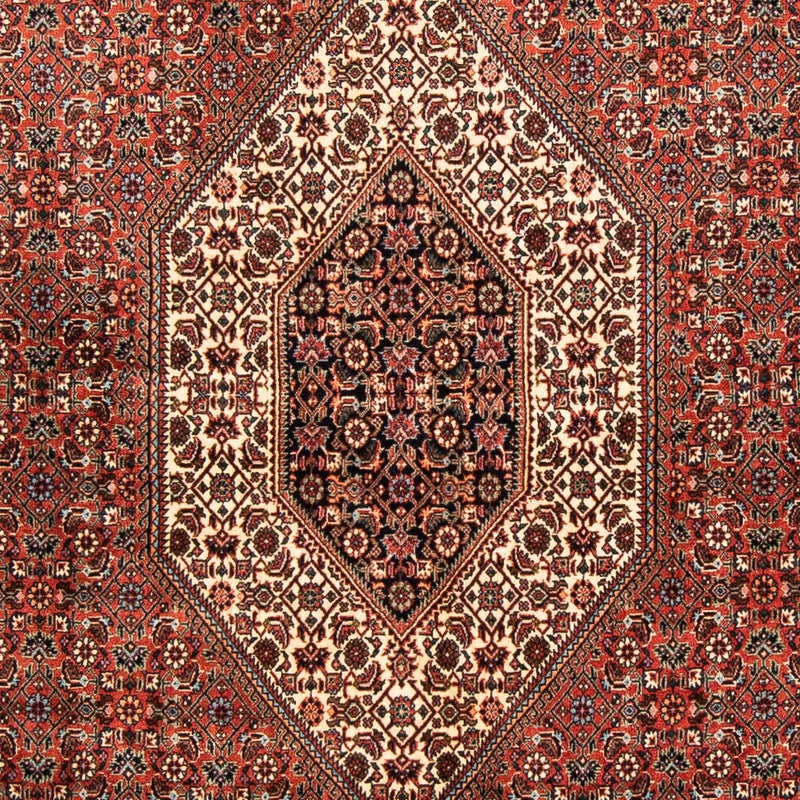 Tappeto Persero - Bidjar - 252 x 150 cm - rosso