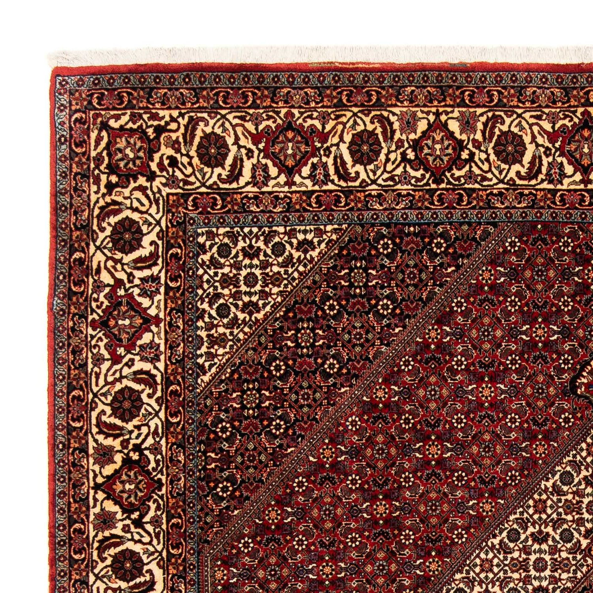 Tappeto Persero - Bidjar - 254 x 204 cm - rosso scuro