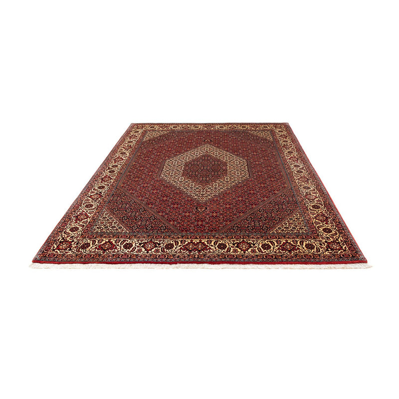 Tappeto Persero - Bidjar - 254 x 204 cm - rosso scuro