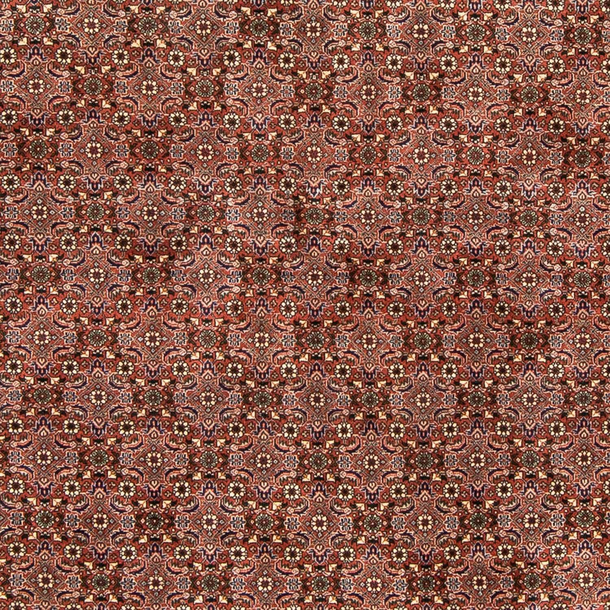 Tappeto Persero - Bidjar - 235 x 167 cm - rosso chiaro