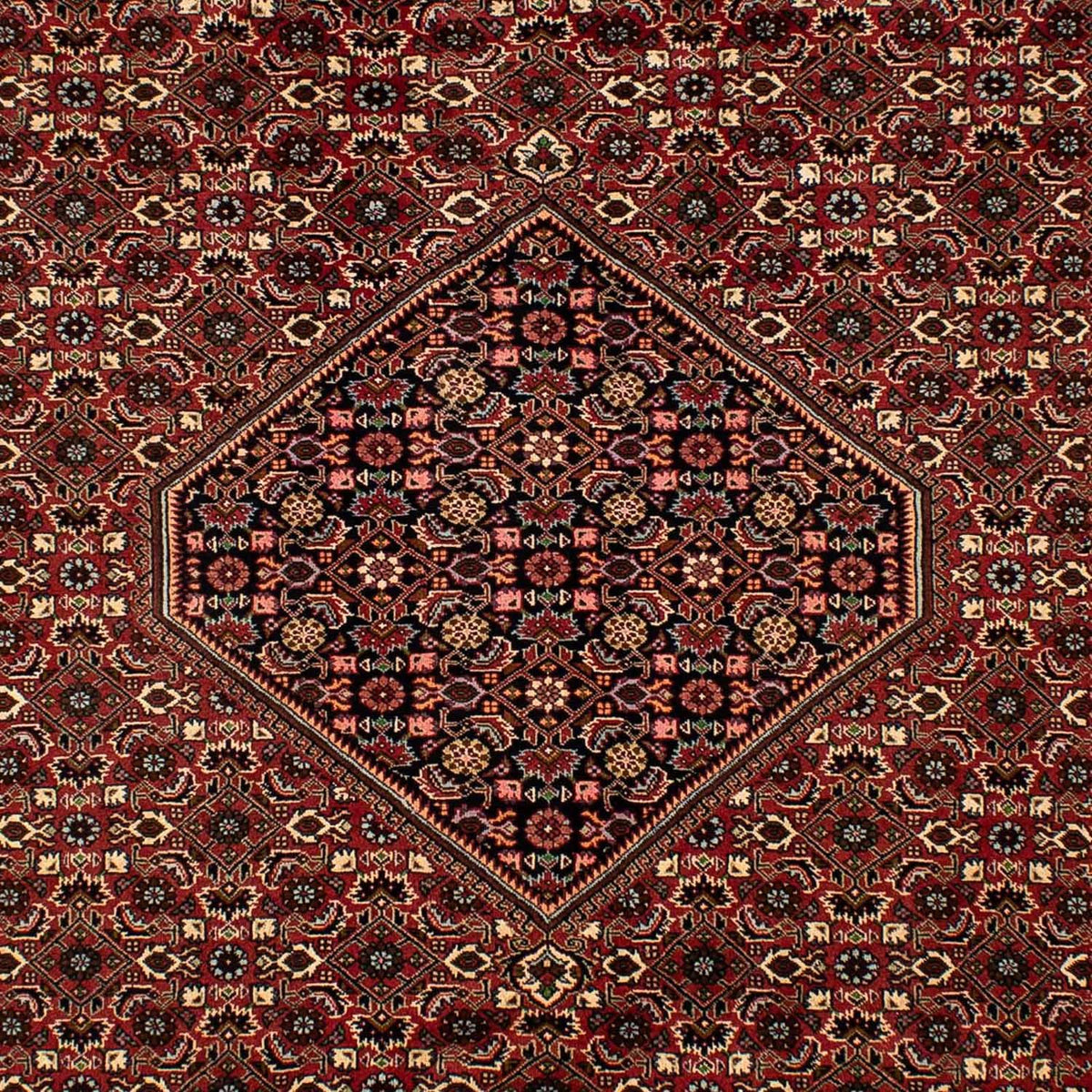 Tappeto Persero - Bidjar - 297 x 202 cm - rosso scuro
