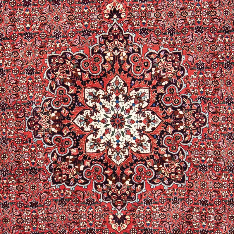 Tappeto Persero - Bidjar - 240 x 170 cm - rosso