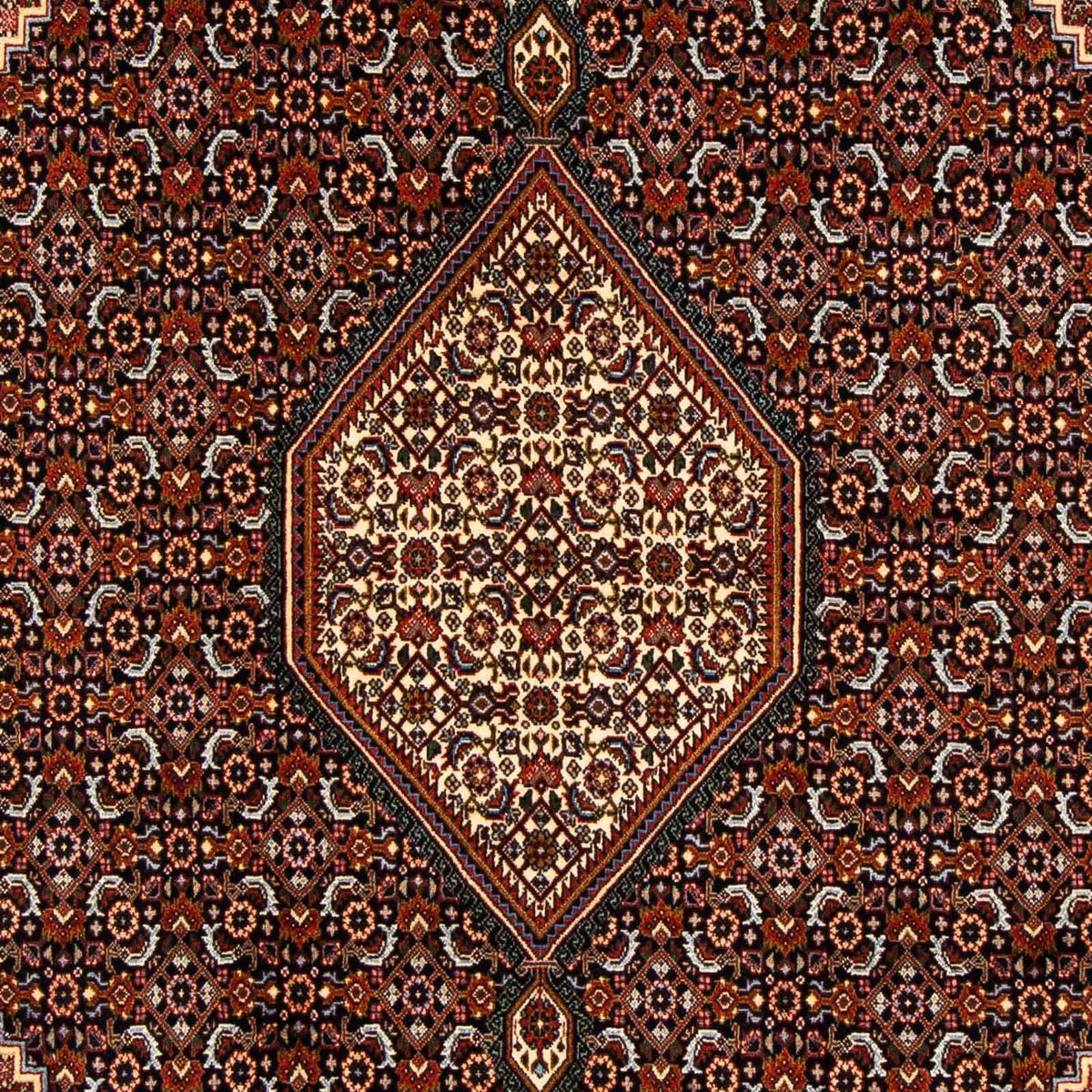 Tappeto Persero - Bidjar - 270 x 167 cm - marrone