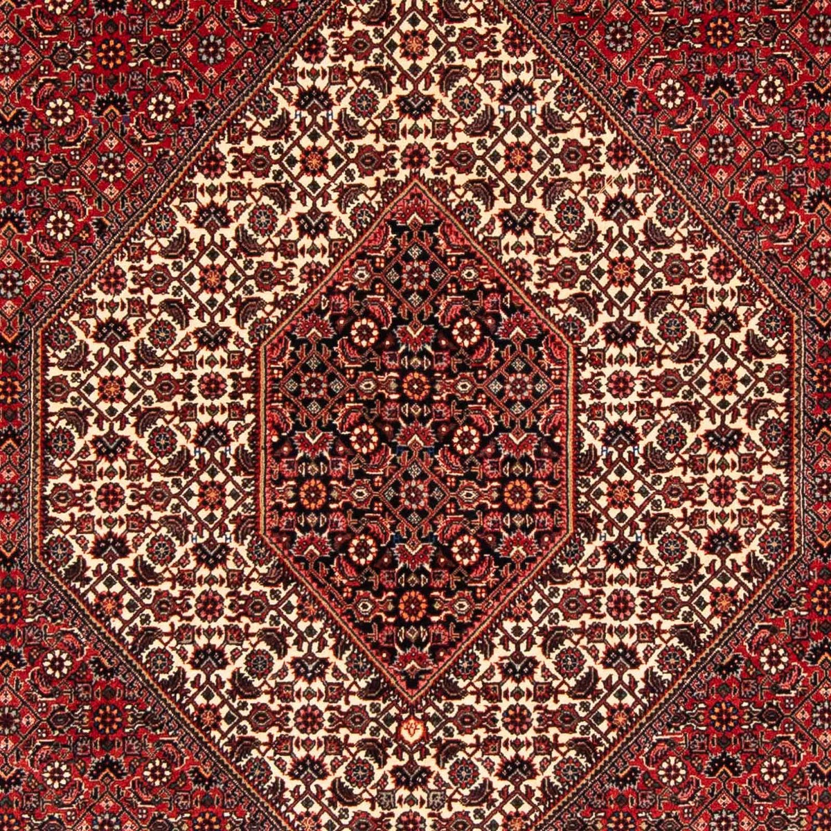 Tappeto Persero - Bidjar - 232 x 153 cm - rosso