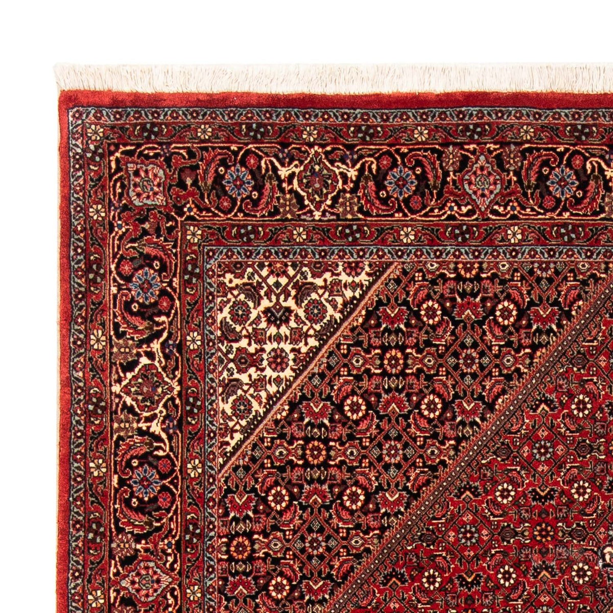 Tappeto Persero - Bidjar - 232 x 153 cm - rosso