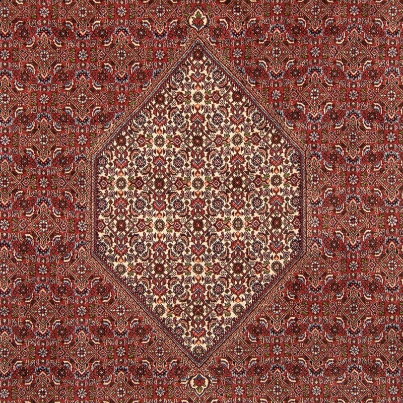 Tappeto Persero - Bidjar - 358 x 250 cm - rosso scuro