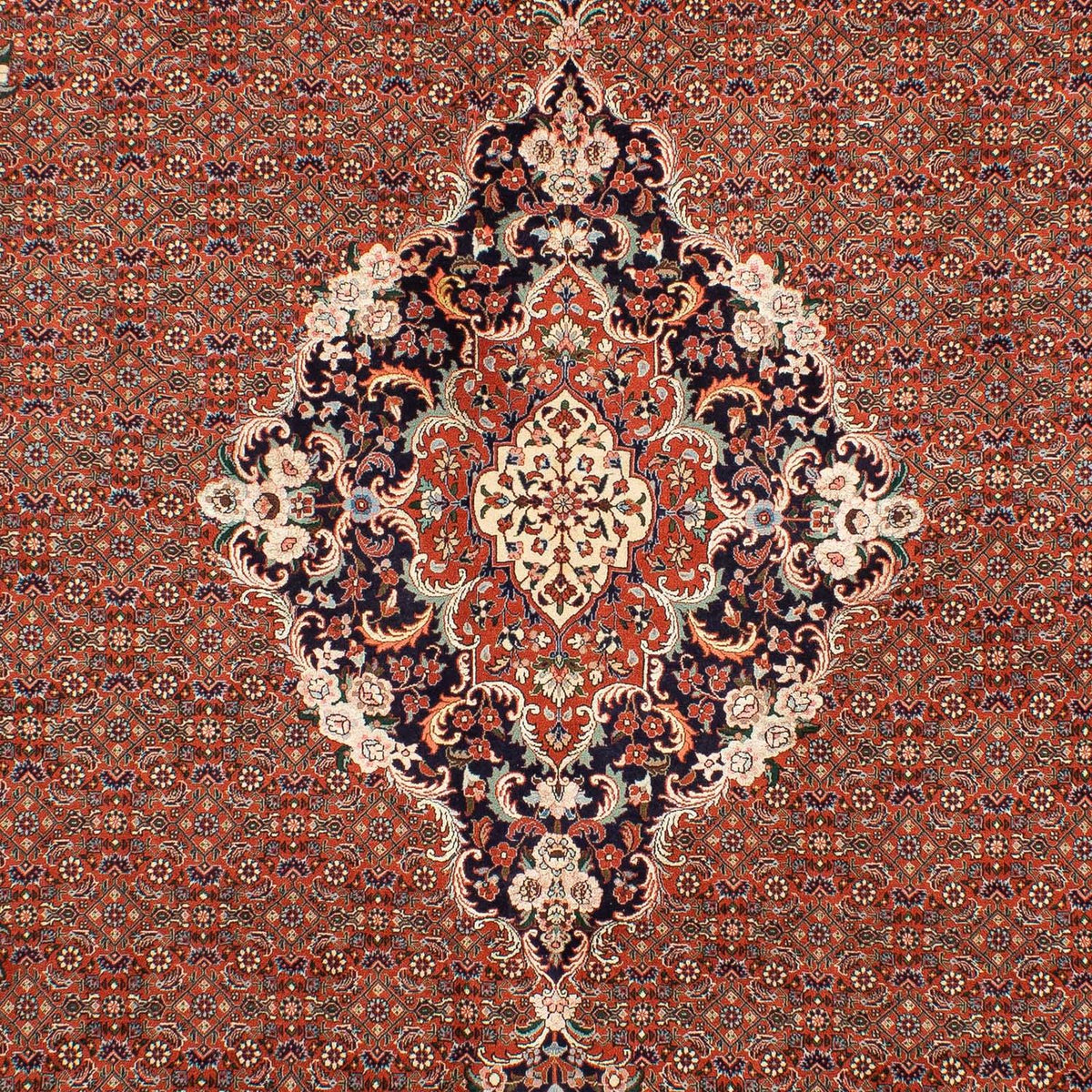 Tappeto Persero - Bidjar - 288 x 206 cm - ruggine