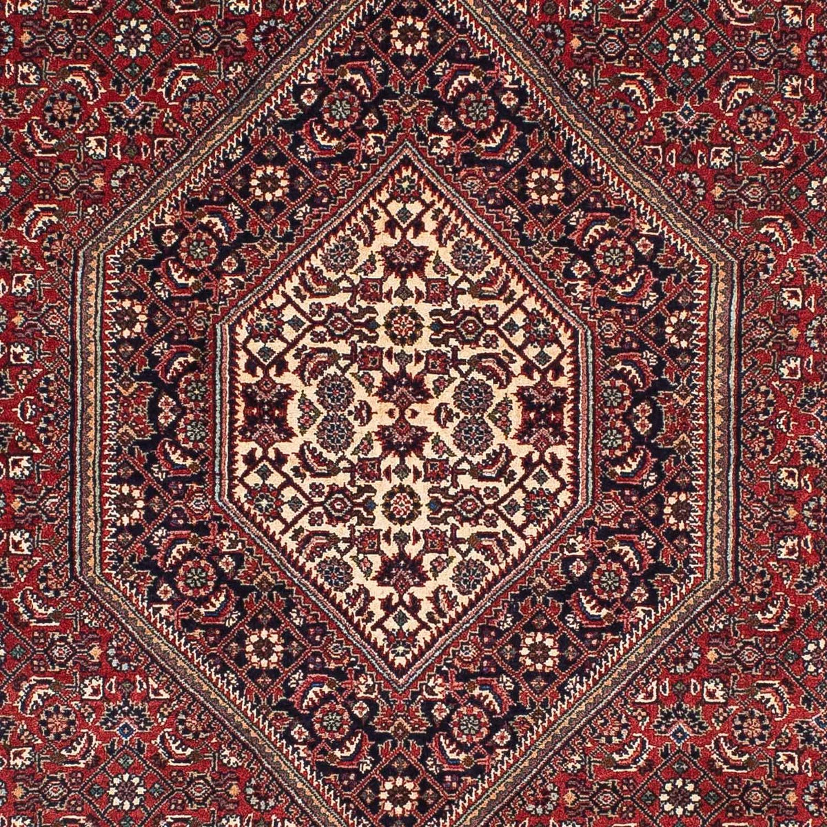 Tappeto corsia Tappeto Persero - Bidjar - 199 x 103 cm - rosso