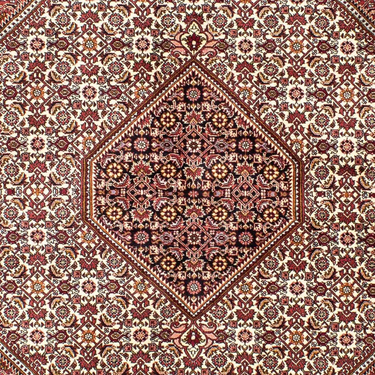 Tappeto Persero - Bidjar - 240 x 170 cm - beige
