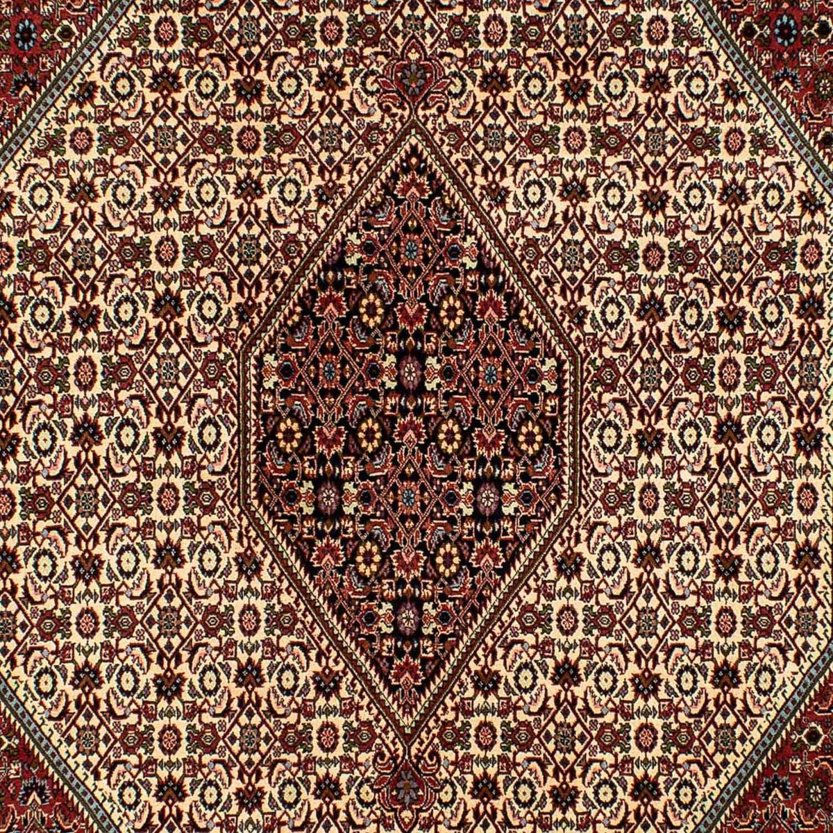 Tappeto Persero - Bidjar - 300 x 200 cm - beige