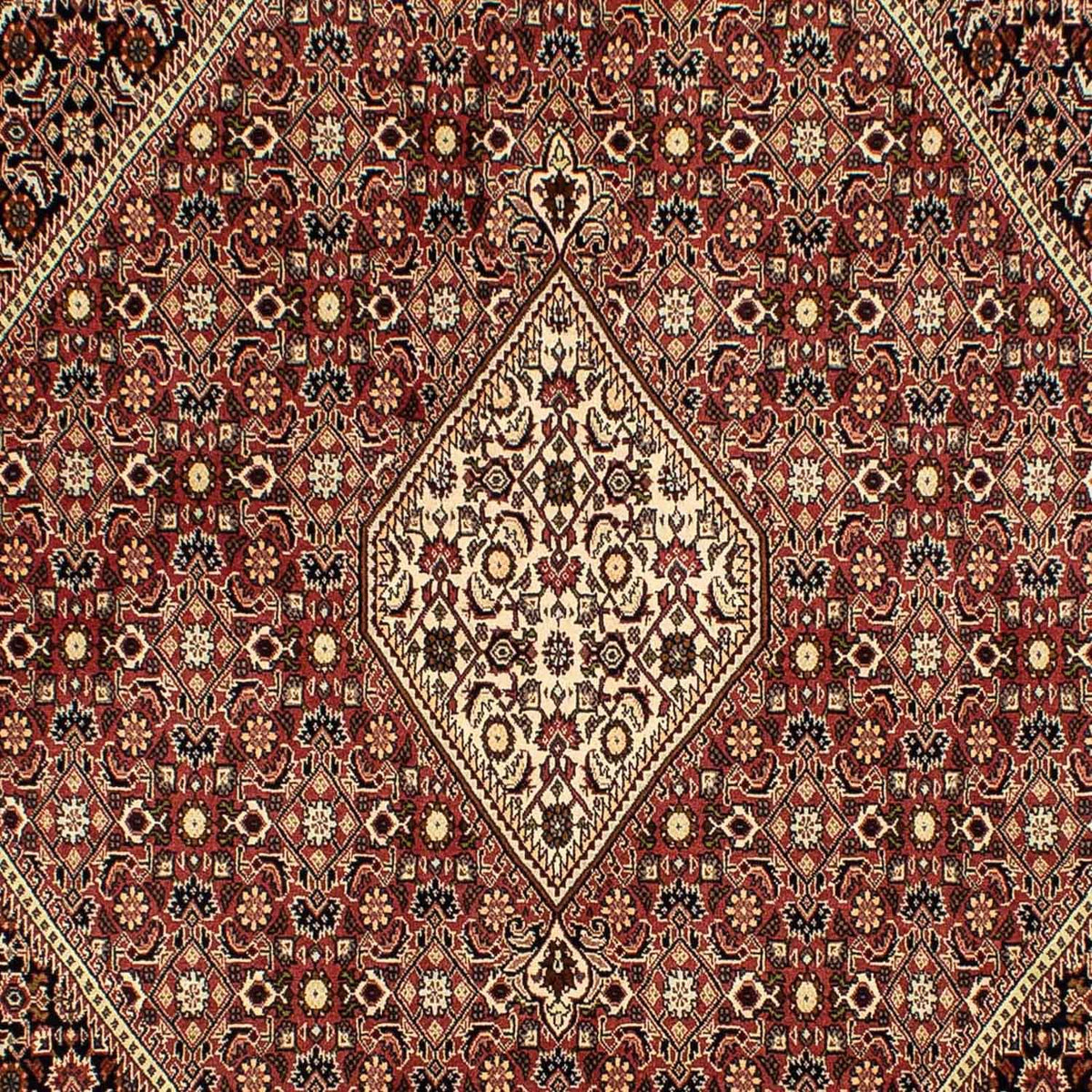 Tappeto Persero - Bidjar - 290 x 198 cm - marrone