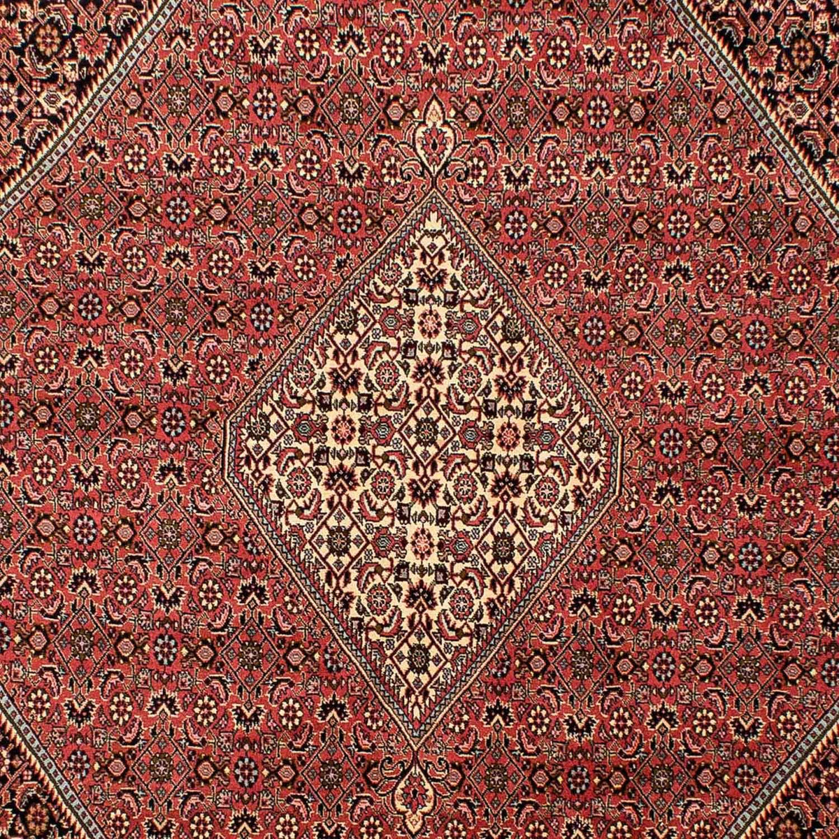 Tappeto Persero - Bidjar - 293 x 205 cm - rosso chiaro