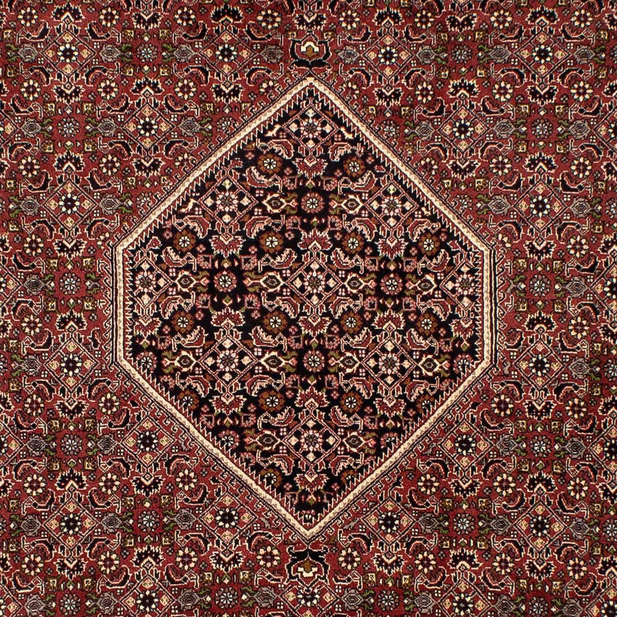 Tappeto Persero - Bidjar - 300 x 197 cm - marrone