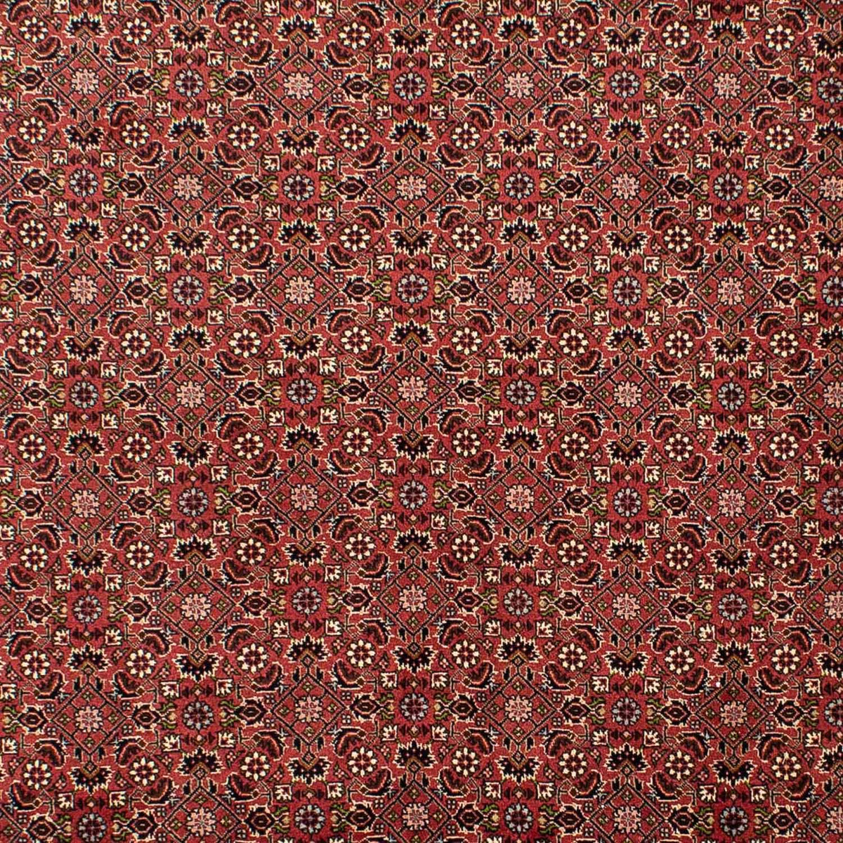 Tappeto Persero - Bidjar - 310 x 196 cm - rosso scuro