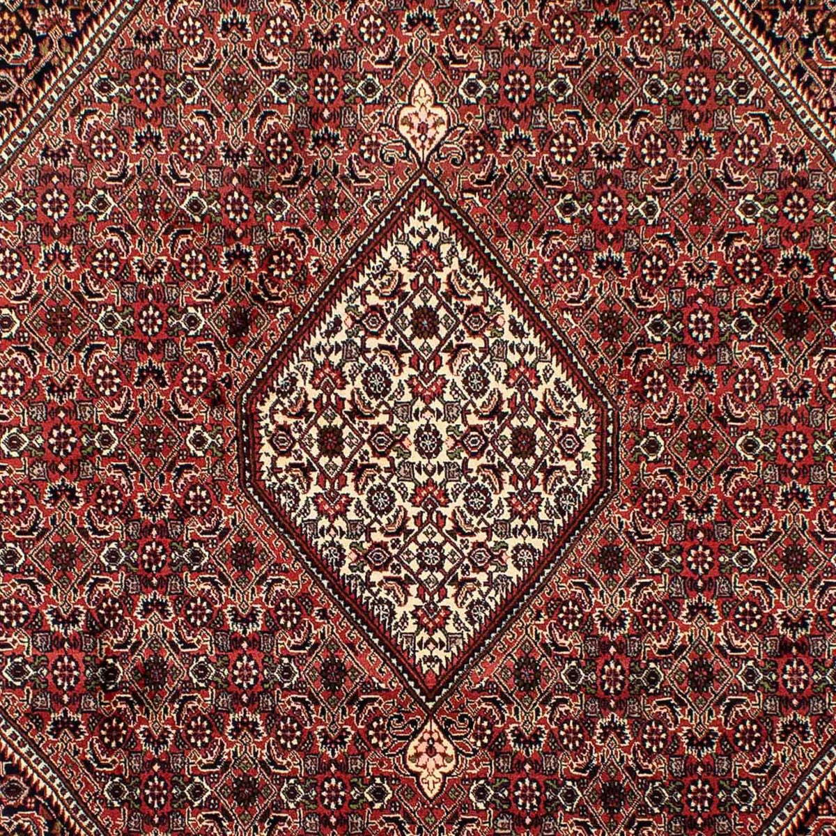 Tappeto Persero - Bidjar - 292 x 200 cm - rosso scuro