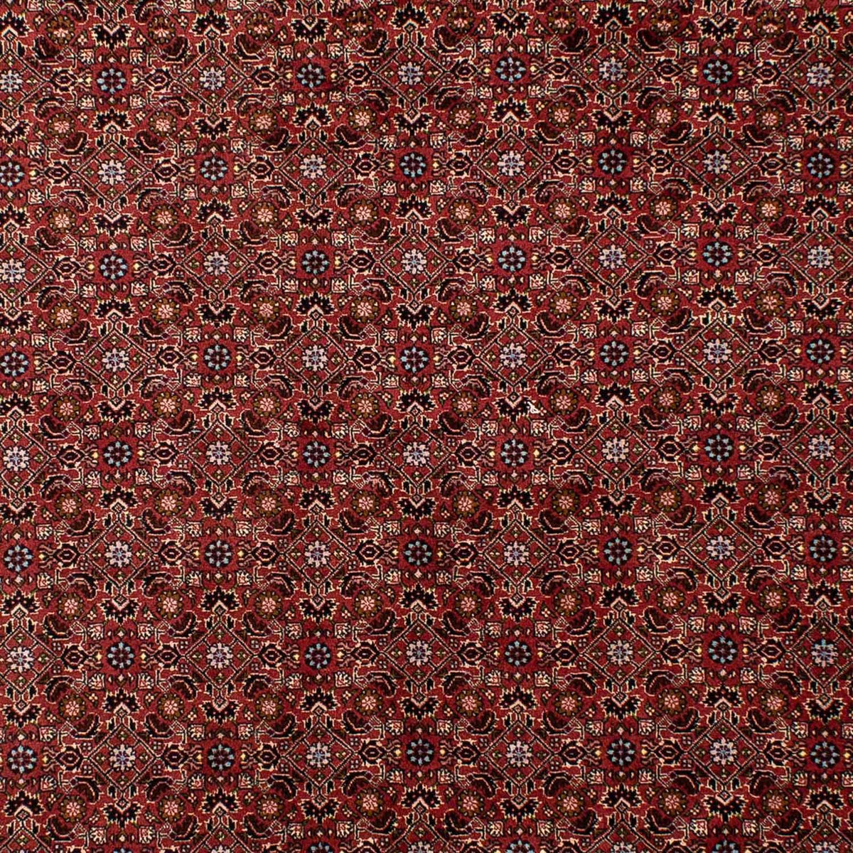 Tappeto Persero - Bidjar - 288 x 198 cm - rosso scuro