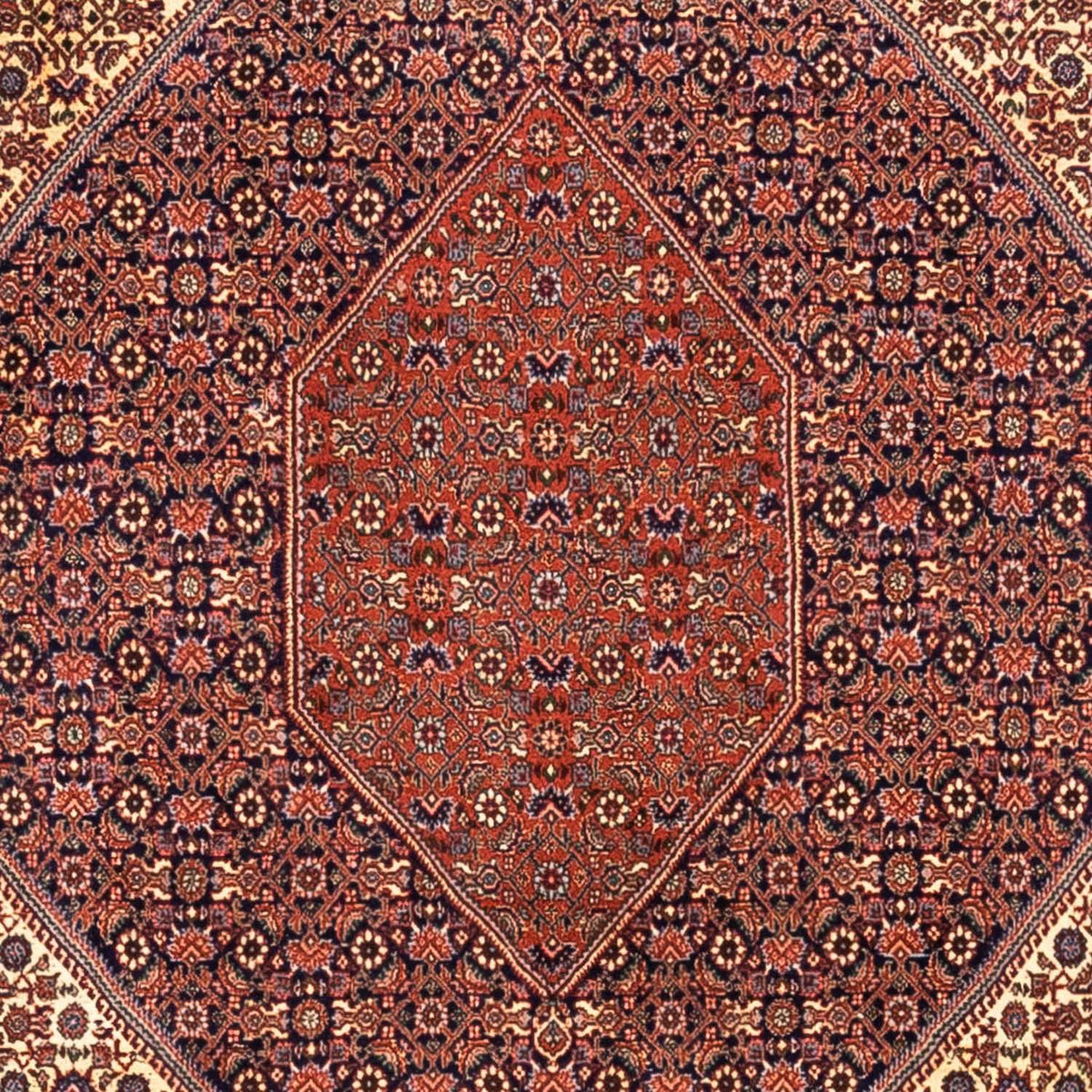 Tappeto Persero - Bidjar - 340 x 254 cm - rosso