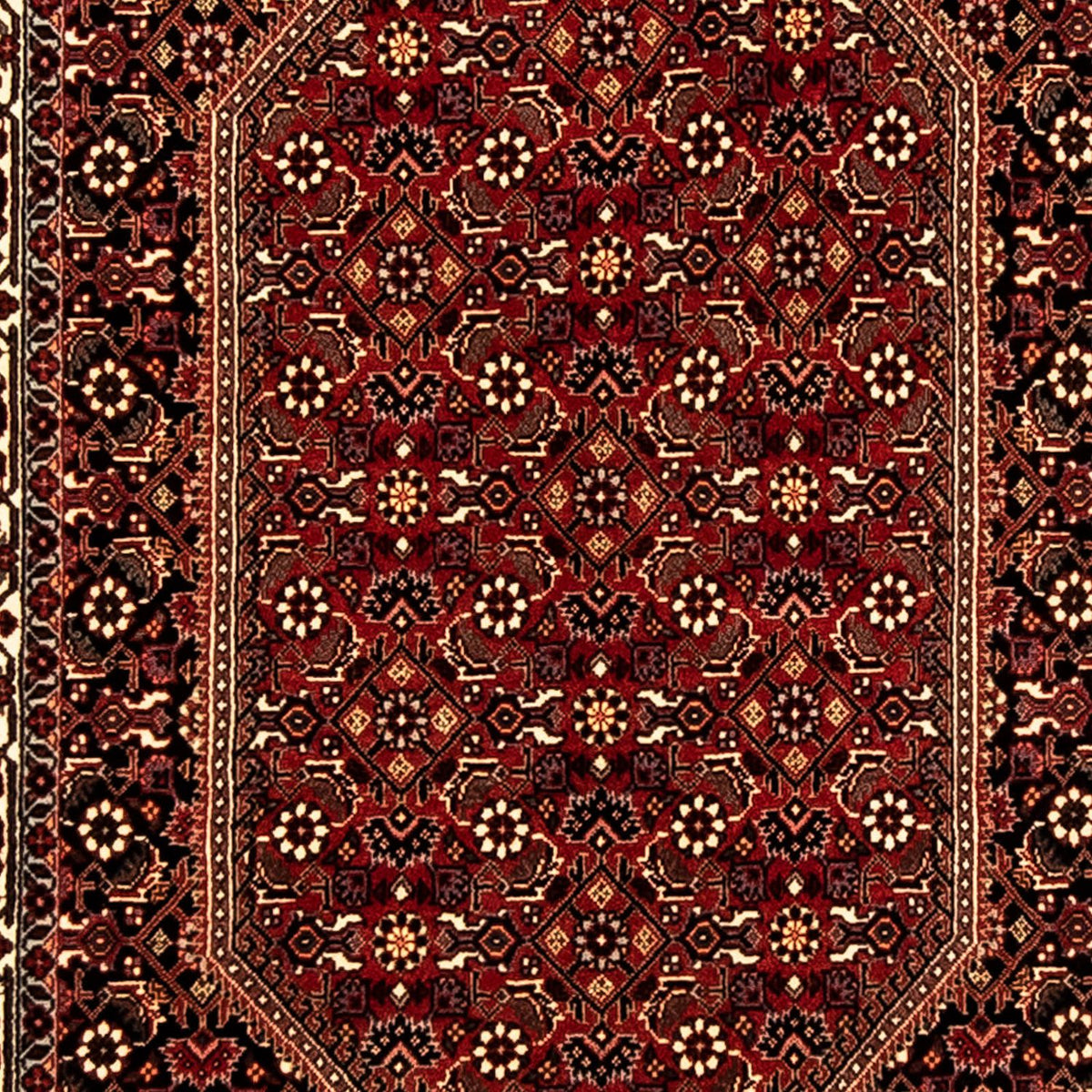 Tappeto corsia Tappeto Persero - Bidjar - 310 x 83 cm - multicolore